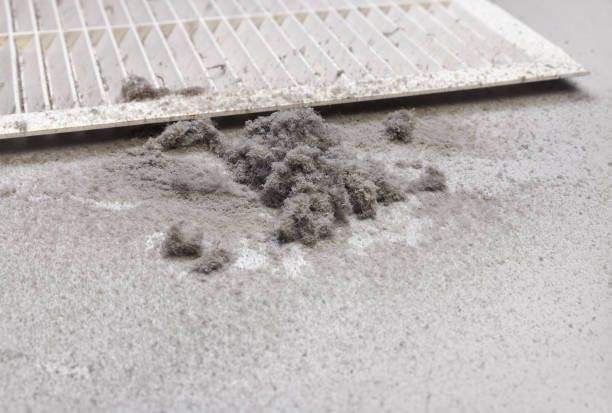 Best Emergency Air Duct Cleaning  in Broussard, LA